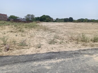 Plot For Resale in Bamrauli Allahabad  7293544