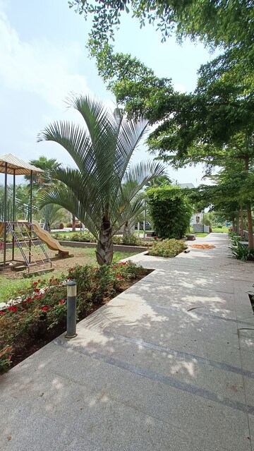  Plot – Exterior View View at Bijalpur - for Sale