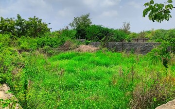 Plot For Sale in Visnagar Road
