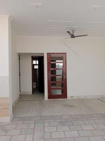 1 BHK Builder Floor For Rent in Huda Sector 11 Panipat  7294457