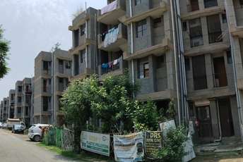 1 BHK Apartment For Resale in Noida Ext Sector 10 Greater Noida  7295055