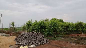 Commercial Land 10000 Sq.Ft. For Resale in Achhoti Durg  7295049