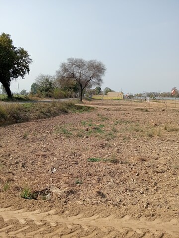 Plot Area in  Plot at Jewar – for Sale