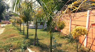  Plot – Exterior View View at Kanpur Road - for Sale