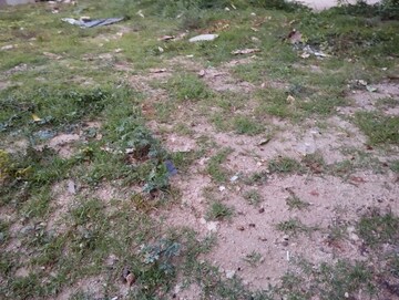 Plot For Resale in Shadnagar Hyderabad  7295560