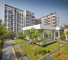 2 BHK Apartment For Rent in Lushlife Ovo Undri Pune  7295640