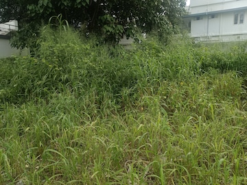 Plot For Resale in Mamangalam Kochi  7296577