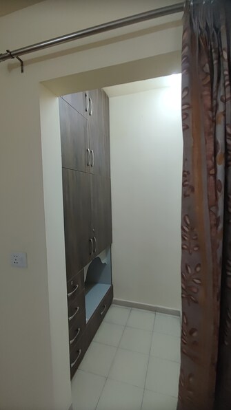 4 BHK Apartment For Rent in Sector M-1 Gurgaon  7296655