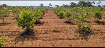 Plot Area in  Plot at Alair – for Sale