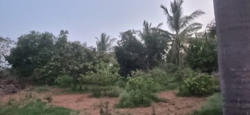  Plot – Nearby View at Bibinagar - for Sale