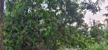  Plot – Garden View at Bibinagar - for Sale