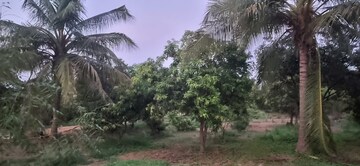  Plot – Map Location View at Bibinagar - for Sale