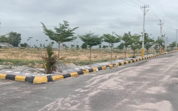 Plot For Sale in Katedhan