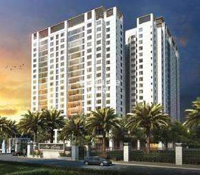 1 BHK Apartment For Rent in Central Park II-The Room Sector 48 Gurgaon  7297021