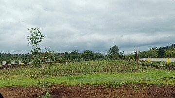 Plot Area in  Plot at Budhera – for Sale