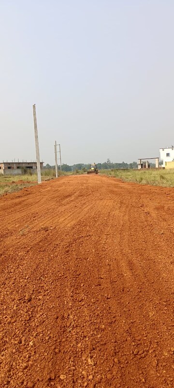 Plot Area in  Plot at Nakhara – for Sale