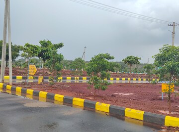 Plot For Resale in Veltur Sadashivpet  7297420