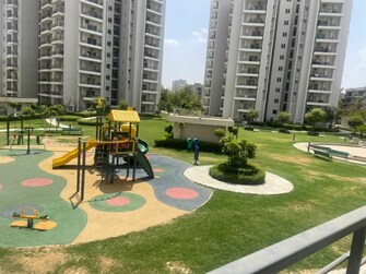 3 BHK Apartment For Resale in Spaze Privy AT4 Sector 84 Gurgaon  7297509