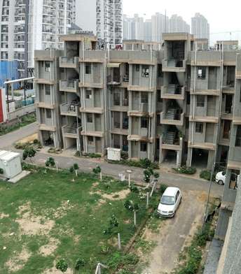 1 BHK Apartment For Resale in Noida Ext Sector 10 Greater Noida  7297909