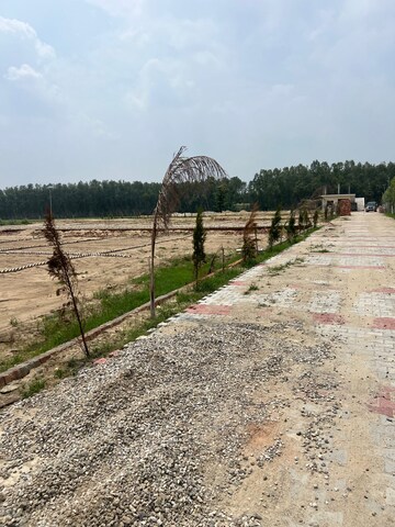 Plot Area in  Plot at Govind Nagar – for Sale
