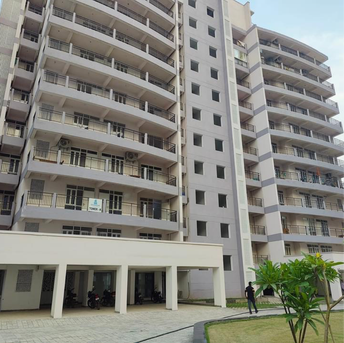 3 BHK Apartment For Rent in Cosmos Express 99 Gopalpur Gurgaon  7297929