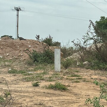 Plot Area in  Plot at Nemarugomula – for Sale