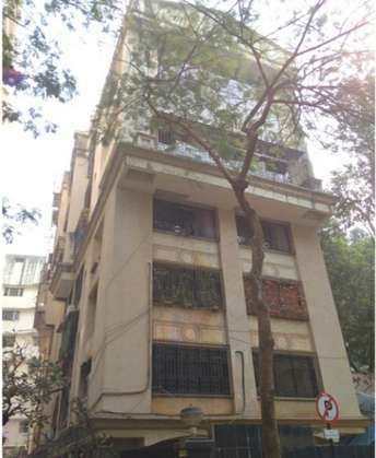 3 BHK Apartment For Rent in Khar West Mumbai  7298672