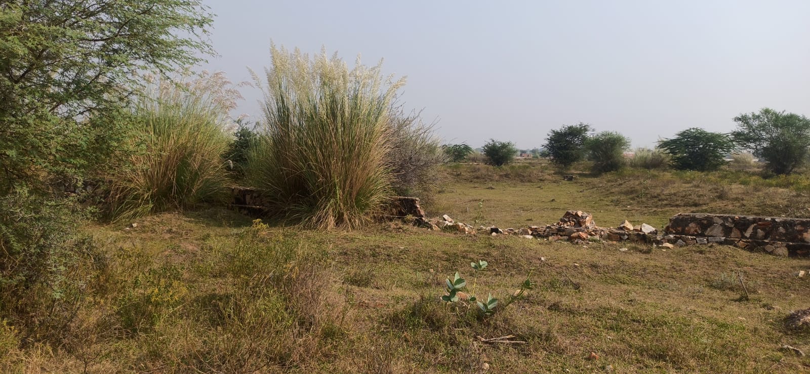 Commercial Land 627 Sq.Mt. For Resale in Jaisinghpura Jaipur  7298721