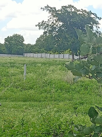 Plot Area in  Land at Mokila – for Sale