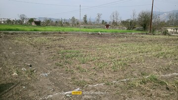 Plot Area in  Plot at Raipur – for Sale