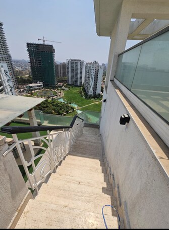 5 BHK Penthouse For Resale in Central Park Resorts Sector 48 Gurgaon  7298978