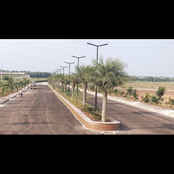  Plot For Resale in Chennampally Hyderabad 7299041