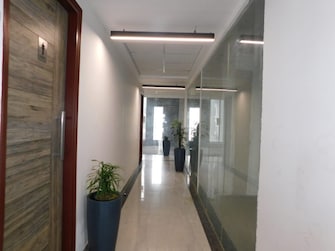 Commercial Office Space 1050 Sq.Ft. For Rent in Sector 132 Noida  7299095