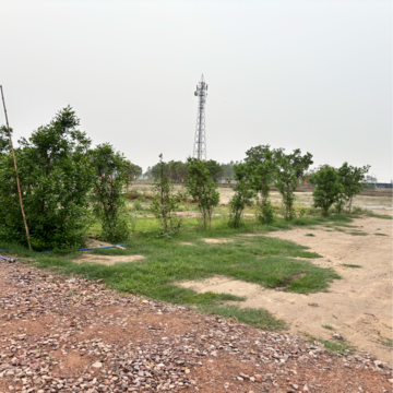 Plot Area in  Plot at Chaumuhan – for Sale