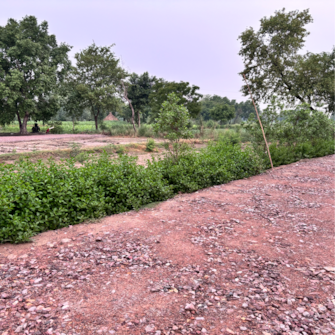 Plot For Resale in Chaumuhan Vrindavan  7299710