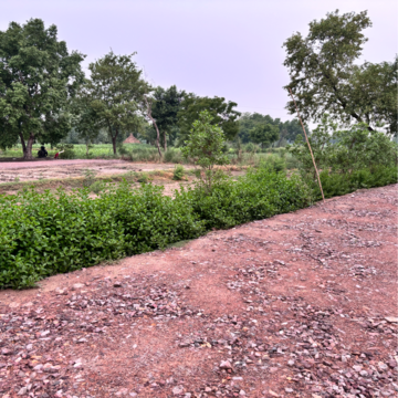 Plot Area in  Plot at Chaumuhan – for Sale