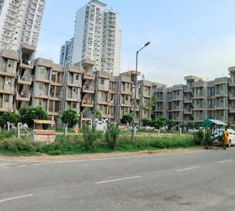 1 BHK Apartment For Resale in Noida Ext Sector 10 Greater Noida  7299971