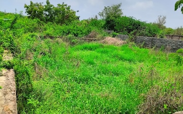 Land For Sale in Nikol