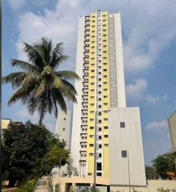1 BHK Apartment For Rent in Mhada Towers Pimpri Pimpri Pune  7300069