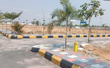 Plot For Sale in Lalapet