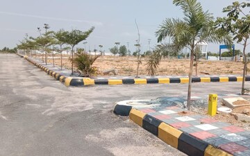Plot For Sale in Langar Houz