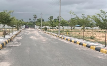 Plot For Sale in Osmangunj