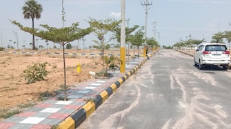 Plot For Resale in Tadwai, Telangana, India Hyderabad  7300510