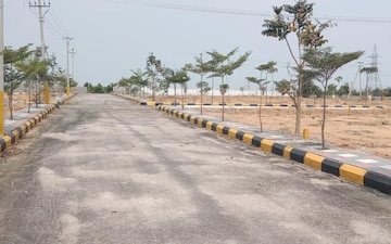 Plot For Sale in Pathar Gatti