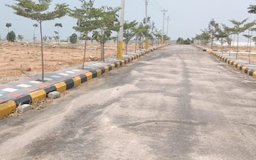 Plot For Sale in Patighanpur