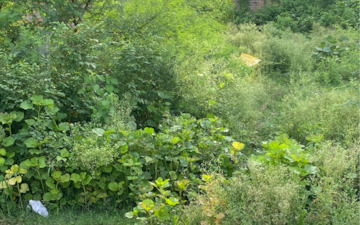 Plot For Sale in Manewada