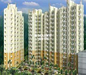 4 BHK Apartment For Resale in Terra Elegance Alwar Bypass Road Bhiwadi  7300851