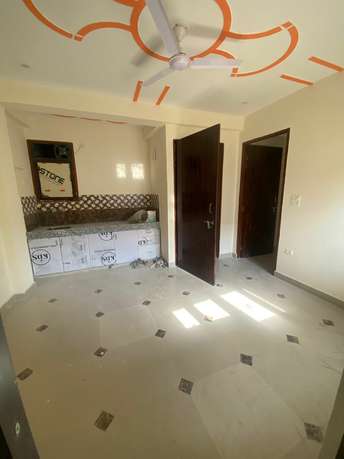 1 BHK Apartment For Rent in Freedom Fighters Enclave Saket Delhi  7301073