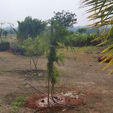  Plot For Sale in Chevalla