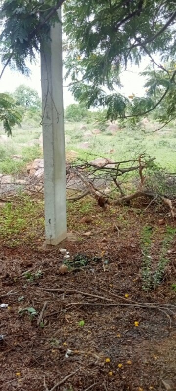 Plot Area in  Land at Happy Homes Shamirpet, Shamirpet – for Sale